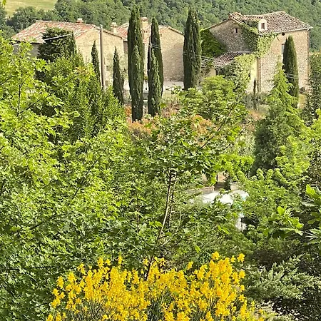 Villa Ca' Di Nieri The Saints'