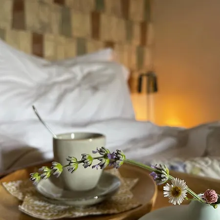 Ca' Di Nieri The Saints' Villa *