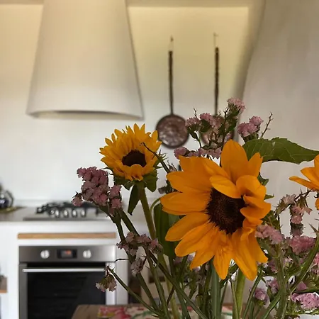 Villa Ca' Di Nieri The Saints'