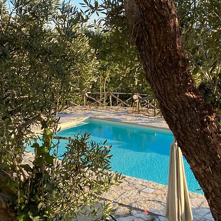 Ca' Di Nieri The Saints' *