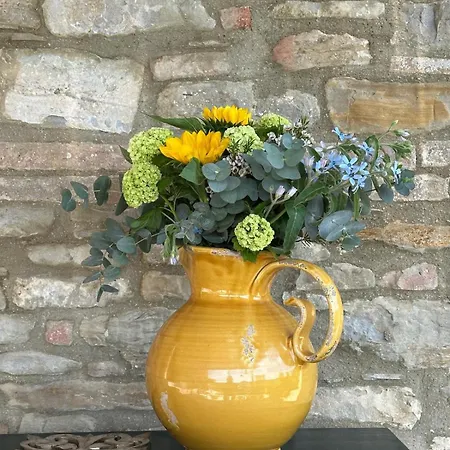 Ca' Di Nieri The Saints' *