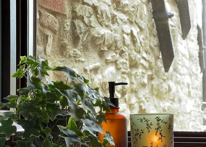 Ca' Di Nieri The Saints' *