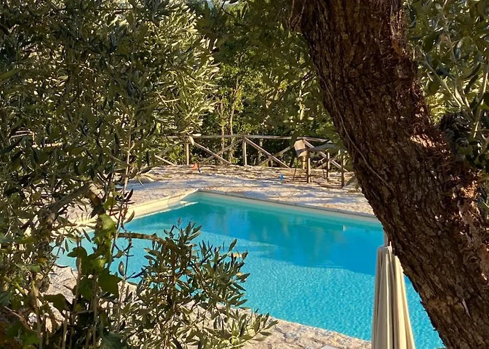 Ca' Di Nieri The Saints' *