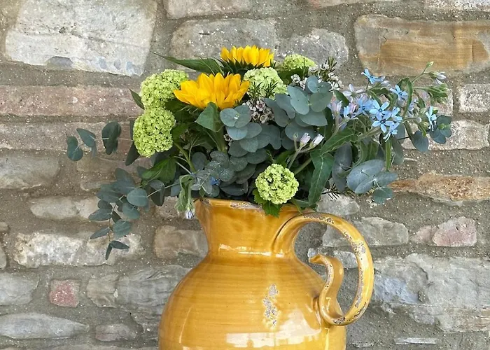 Ca' Di Nieri The Saints' *